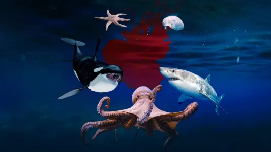 Deep Sea Killers