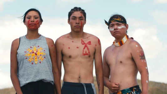 Watch Lakota Nation vs. United States Trailer