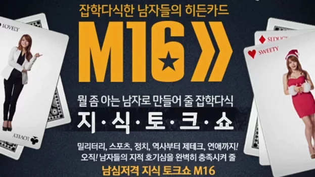 잡식남들의 히든카드 M16