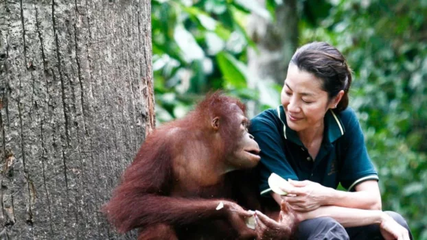 Watch Among the Great Apes with Michelle Yeoh Trailer