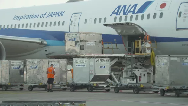 Luchthaven 24/7