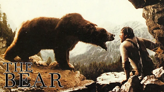 Watch The Bear Trailer