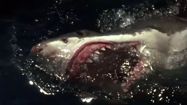 Watch Shark Zone Trailer