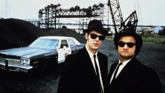 Ansehen Blues Brothers Trailer