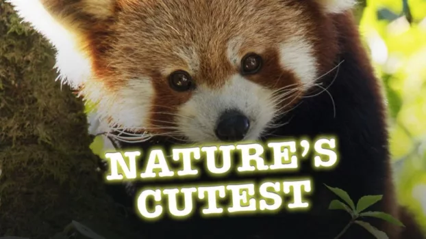 Nature's Cutest