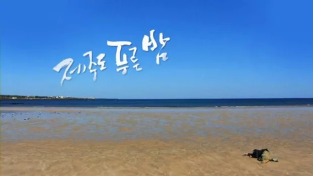 Drama City: Blue Skies of Jeju Island