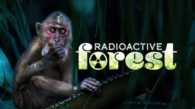 Radioactive Forest: 10 Years After