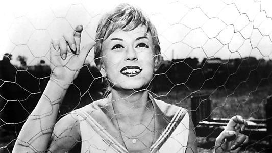 Watch Nights of Cabiria Trailer