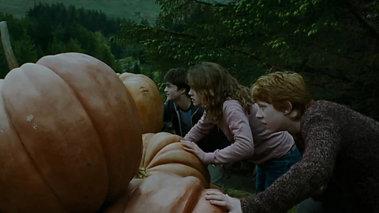 Harry Potter and the Prisoner of Azkaban