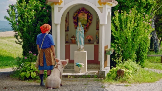 Watch Even Pigs Go to Heaven Trailer