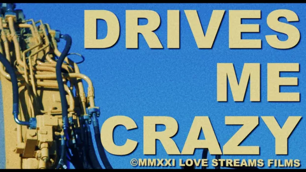 Watch Drives Me Crazy Trailer