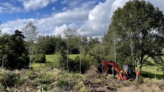 Forêts françaises en quête d'avenir