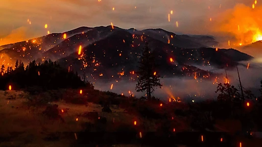 Watch Elemental: Reimagine Wildfire Trailer