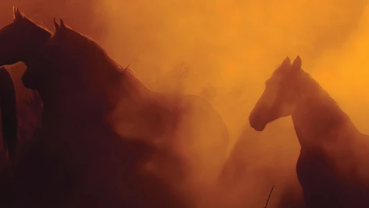 Watch Wild Beauty: Mustang Spirit of the West Trailer