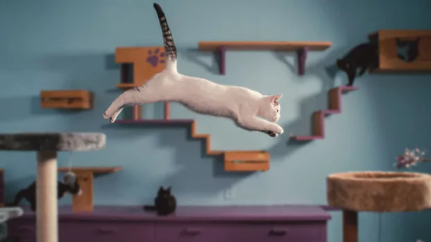 Watch Inside the Mind of a Cat Trailer