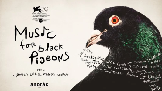 Watch Music for Black Pigeons Trailer