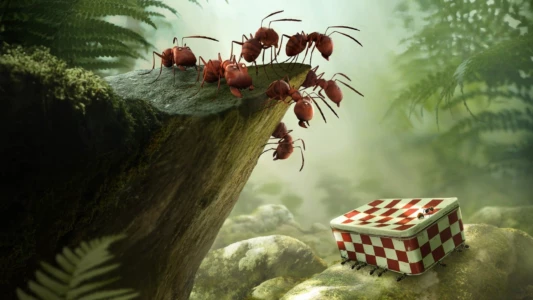Watch Minuscule: Valley of the Lost Ants Trailer