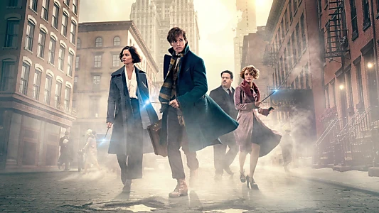 Watch Fantastic Beasts and Where to Find Them Trailer