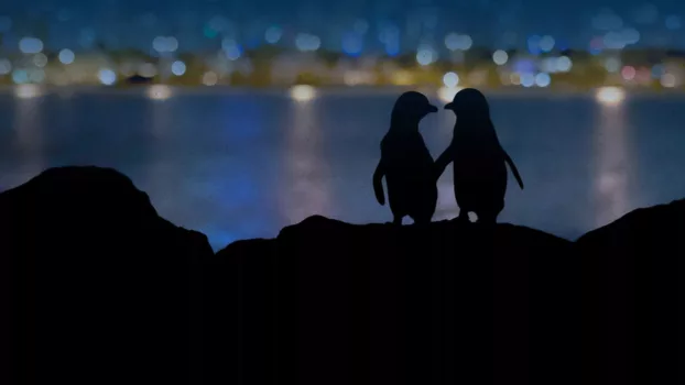 Watch Meet the Penguins Trailer