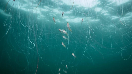 North Sea – Nature Untamed