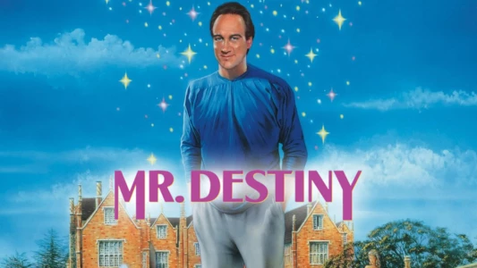 Mr. Destiny