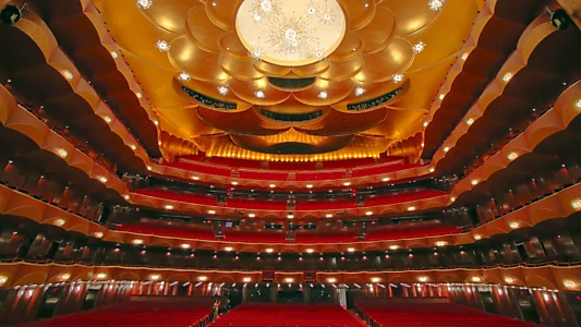 Great Performances at the Met