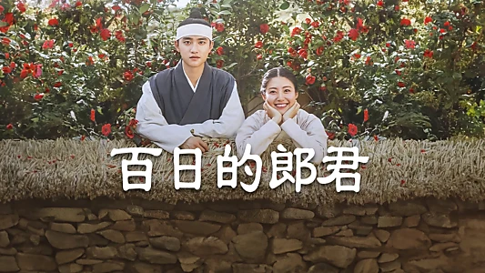 100 Days My Prince