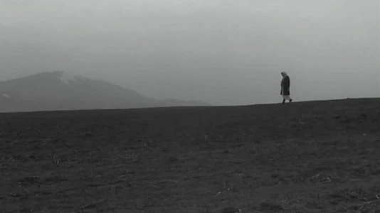 Mother's Field