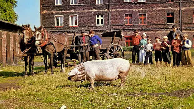 Grzeszny żywot Franciszka Buły