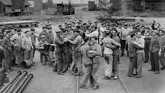 A History of the European Working Class