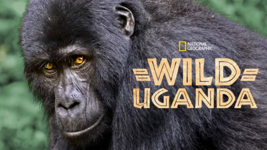 Wild Uganda