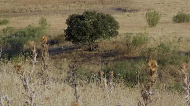 Azul la mancha