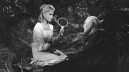 Wild Strawberries