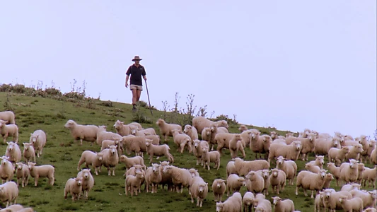 Trailblazers: The New Zealand Story