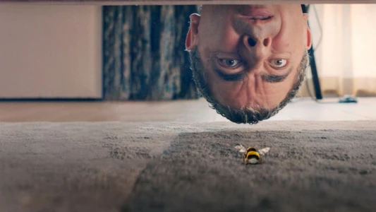 Man Vs Bee