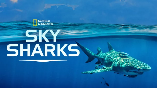 Sky Sharks