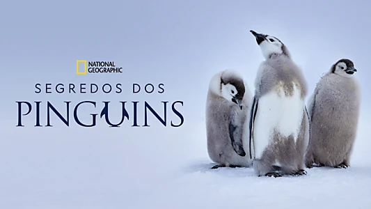Secrets of the Penguins