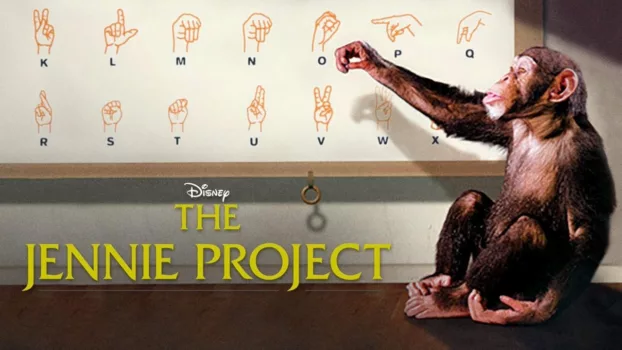 Watch The Jennie Project Trailer