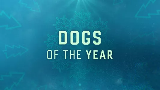 Dogs of the Year