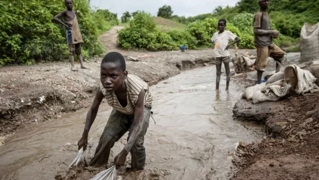 Cobalt, l'envers du rêve électrique