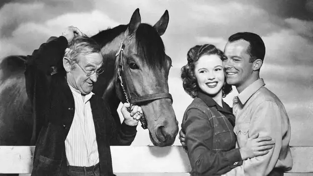 Watch The Story of Seabiscuit Trailer