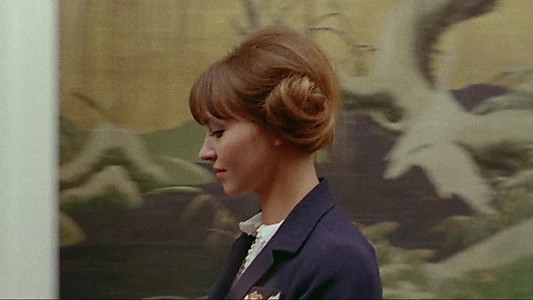 Pierrot le Fou