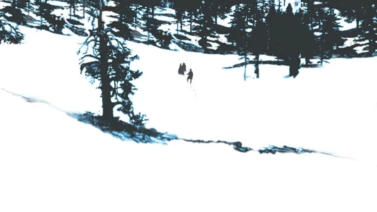 Watch The Donner Party Trailer