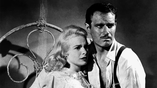 Watch Touch of Evil Trailer