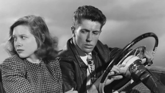 Watch They Live by Night Trailer