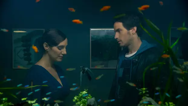 Watch The Life of Fish Trailer