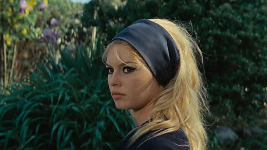 Watch Contempt Trailer