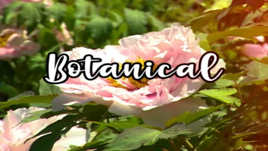 Watch Bloom Skateboards Presents Botanical Trailer
