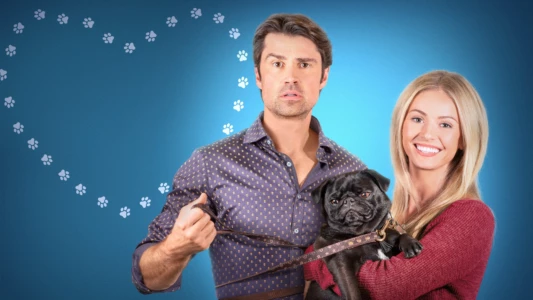Watch The Dog Lover's Guide to Dating Trailer