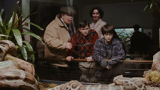 Harry Potter and the Philosopher's Stone